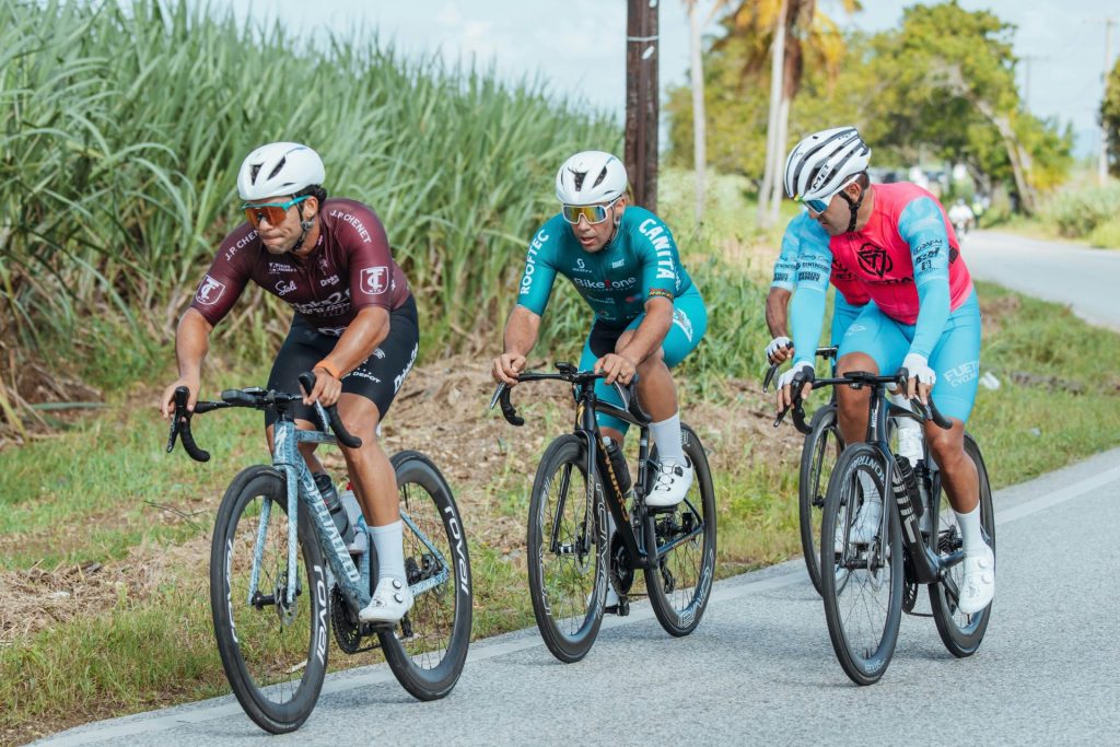 Three cyclists race on a road with sugarcane fields.